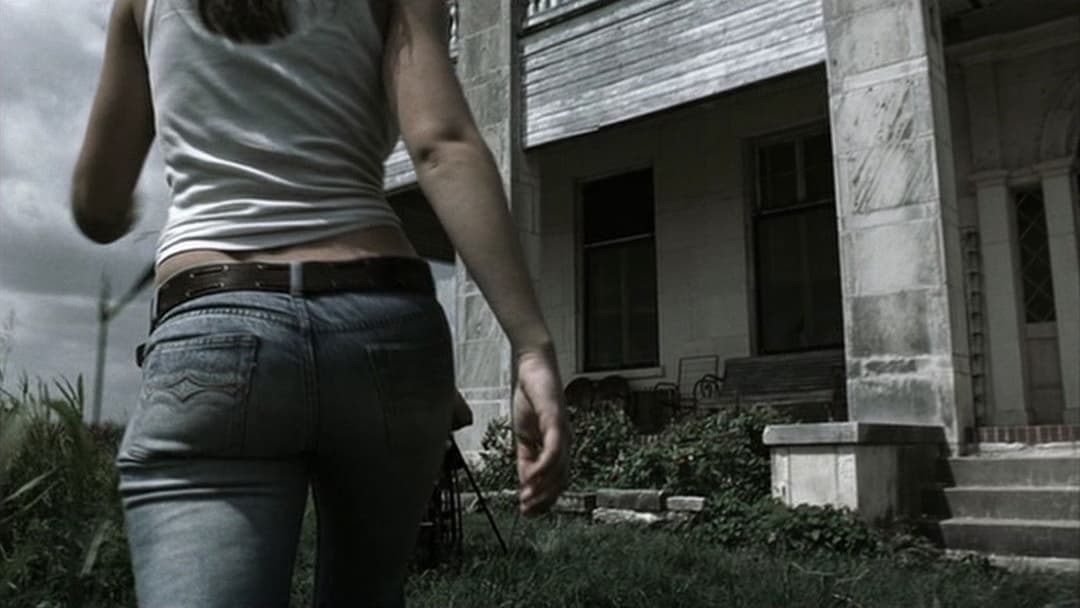 Michael Bay's Texas Chainsaw Massacre backdrop 14