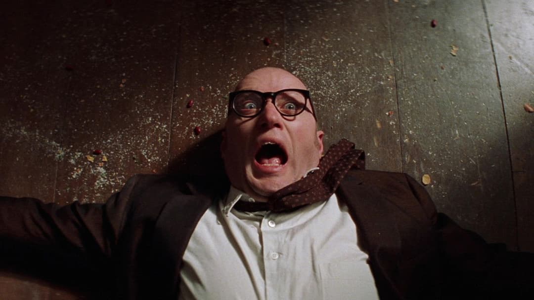 Guest House Paradiso backdrop 7