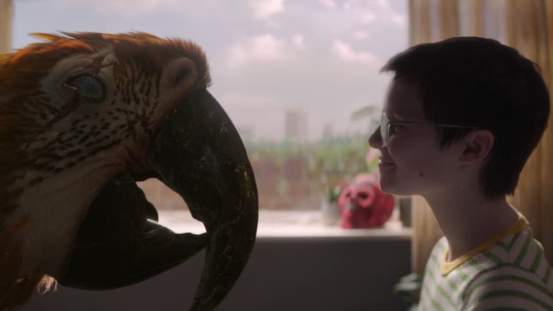 Тьюздей backdrop 8