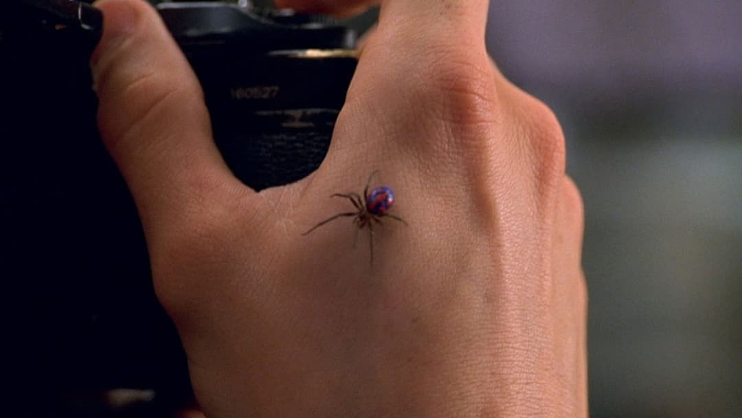 Spider-Man backdrop 20