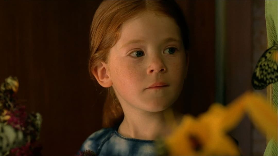 The Butterfly backdrop 4