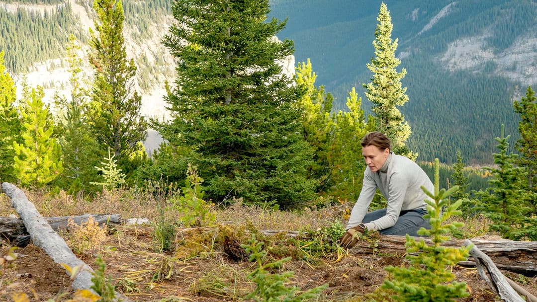 Незвідана земля backdrop 6