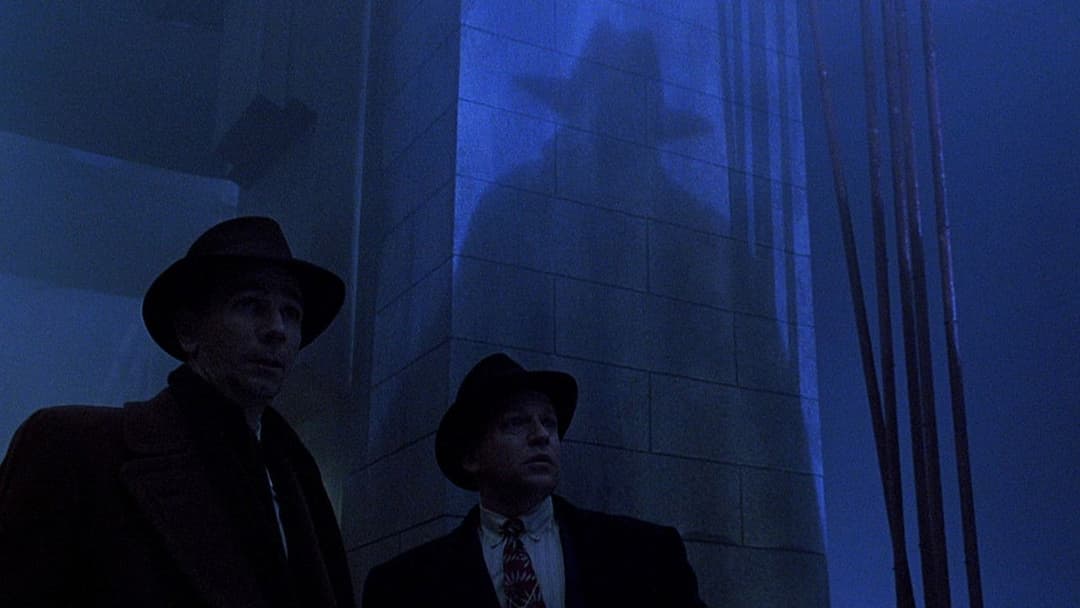 Тінь backdrop 12