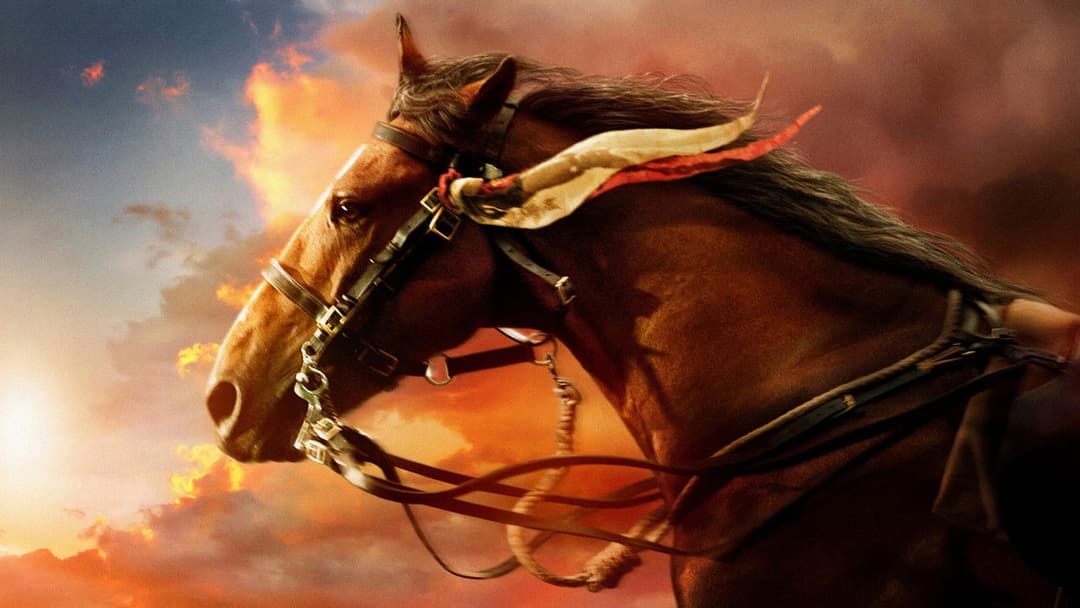 War Horse backdrop 4