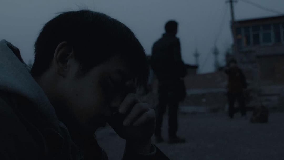 An Elephant Sitting Still backdrop 12