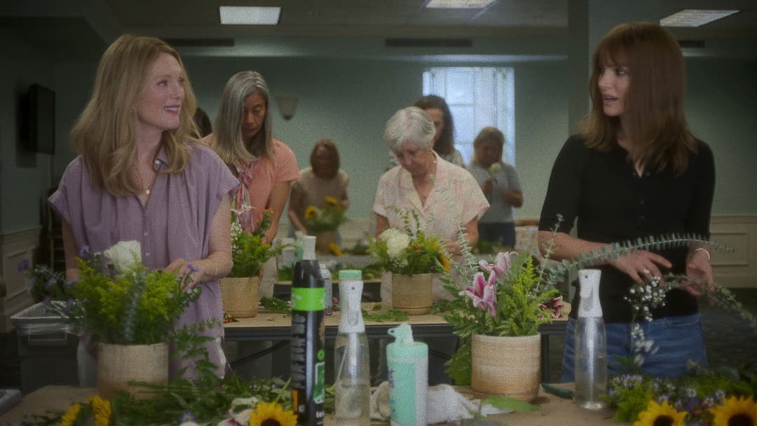 May December backdrop 18