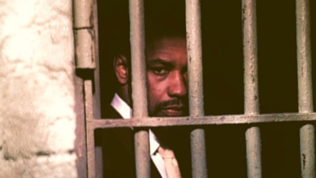 Hurricane backdrop 9