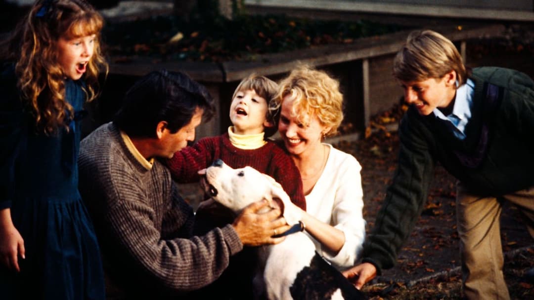 Дорога додому: Неймовірна подорож backdrop 4