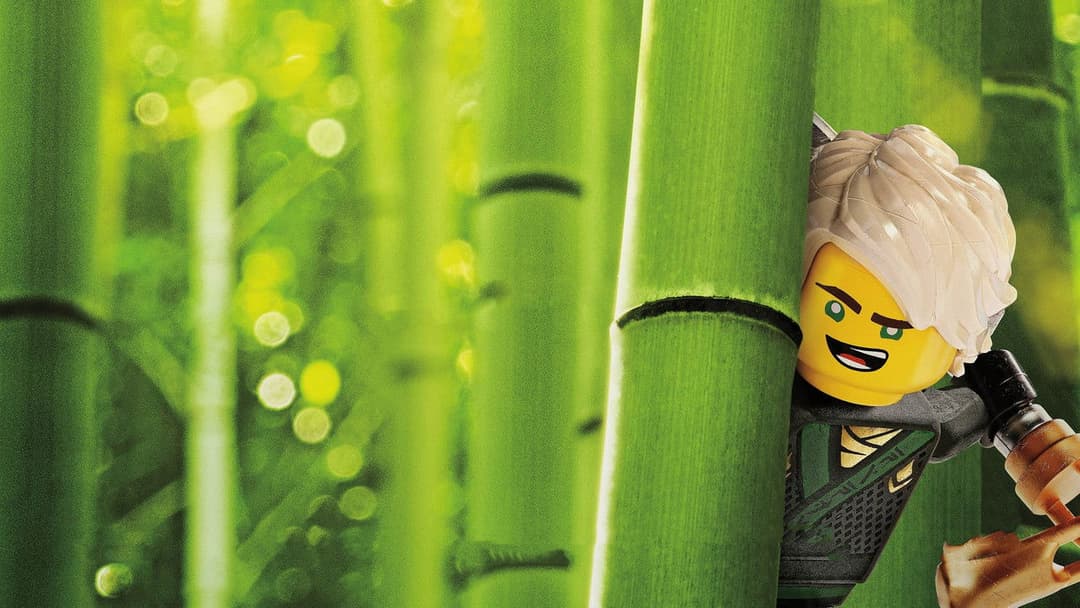 The Lego Ninjago Movie backdrop 6