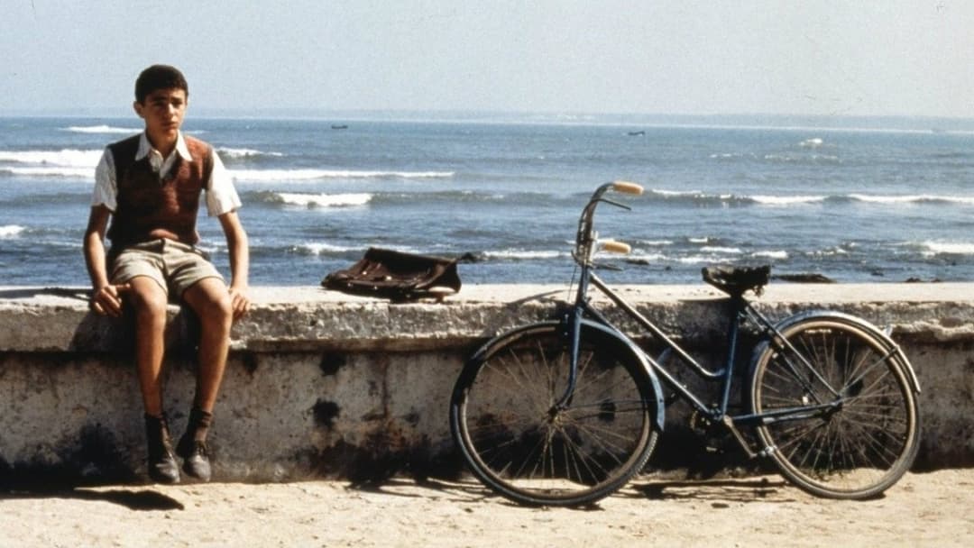 Малена backdrop 13