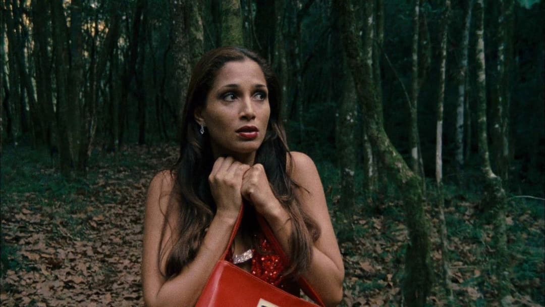 Saneamento Básico, O Filme backdrop 9