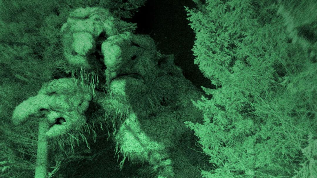 Troll Hunter backdrop 13