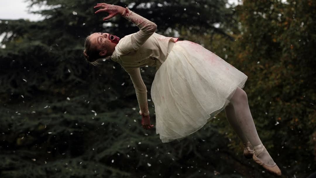 Livid - Das Blut der Ballerinas backdrop 6