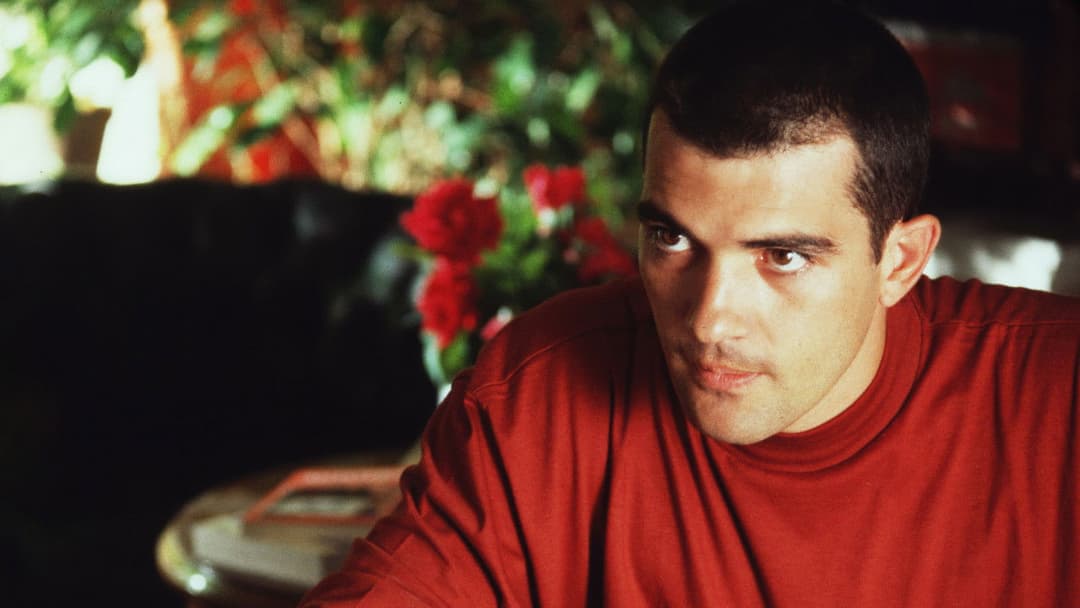 Fessle mich! backdrop 7