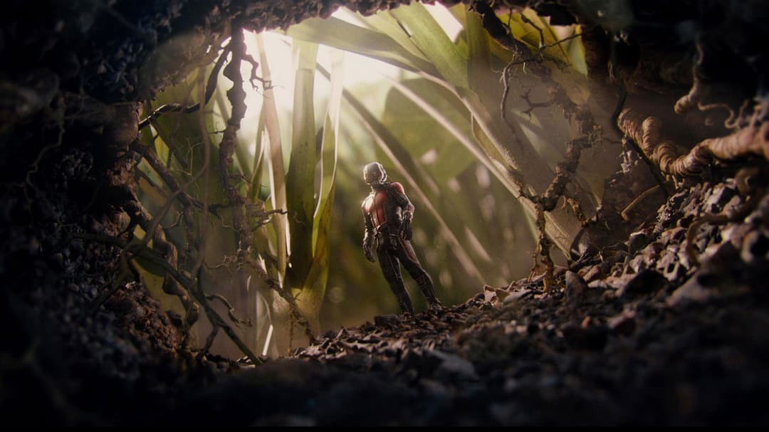 Людина-мураха backdrop 12