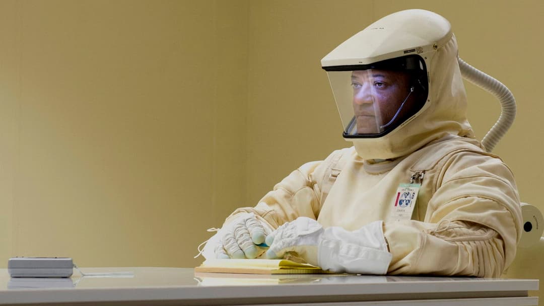 The Signal backdrop 12