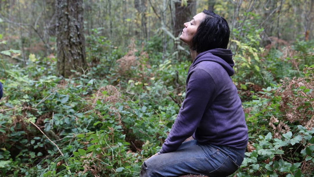 Alone - Du kannst nicht entkommen backdrop 5