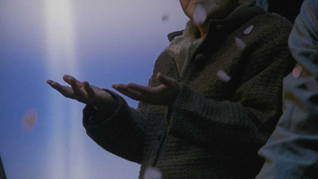 Після життя backdrop 13