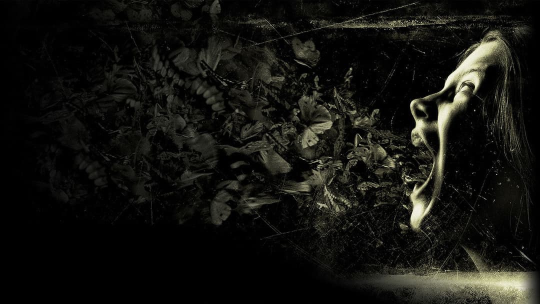 Шкатулка одержимості backdrop 1