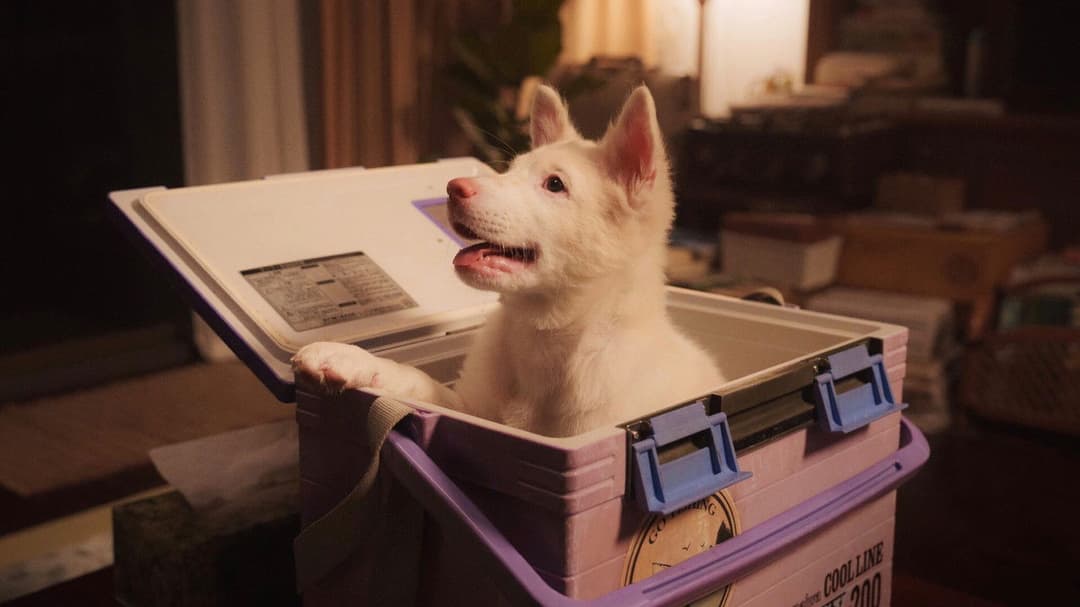 โกฮัง..หัวใจโกโฮม backdrop 2