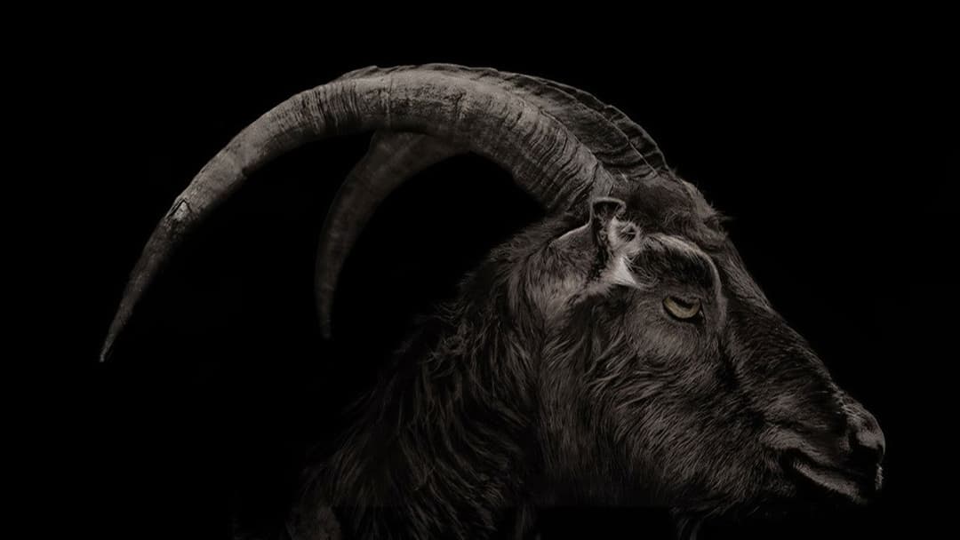 The Witch backdrop 17