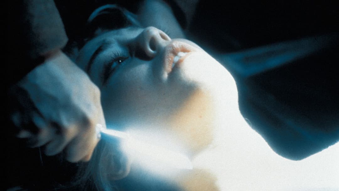 Nightwatch backdrop 7