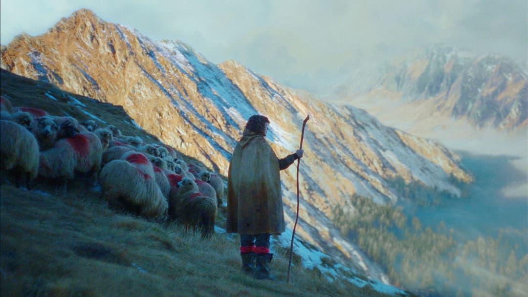 Die Legende von Ochi backdrop 16