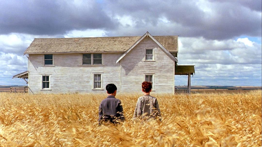 The Reflecting Skin backdrop 10