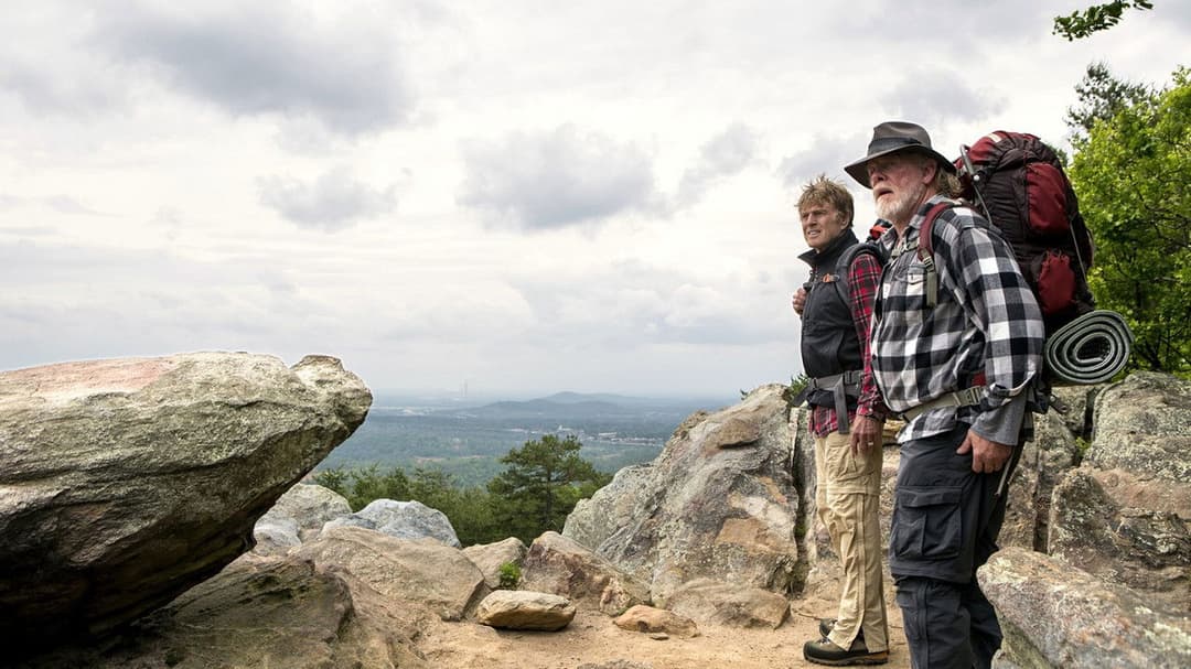 Picknick mit Bären backdrop 18