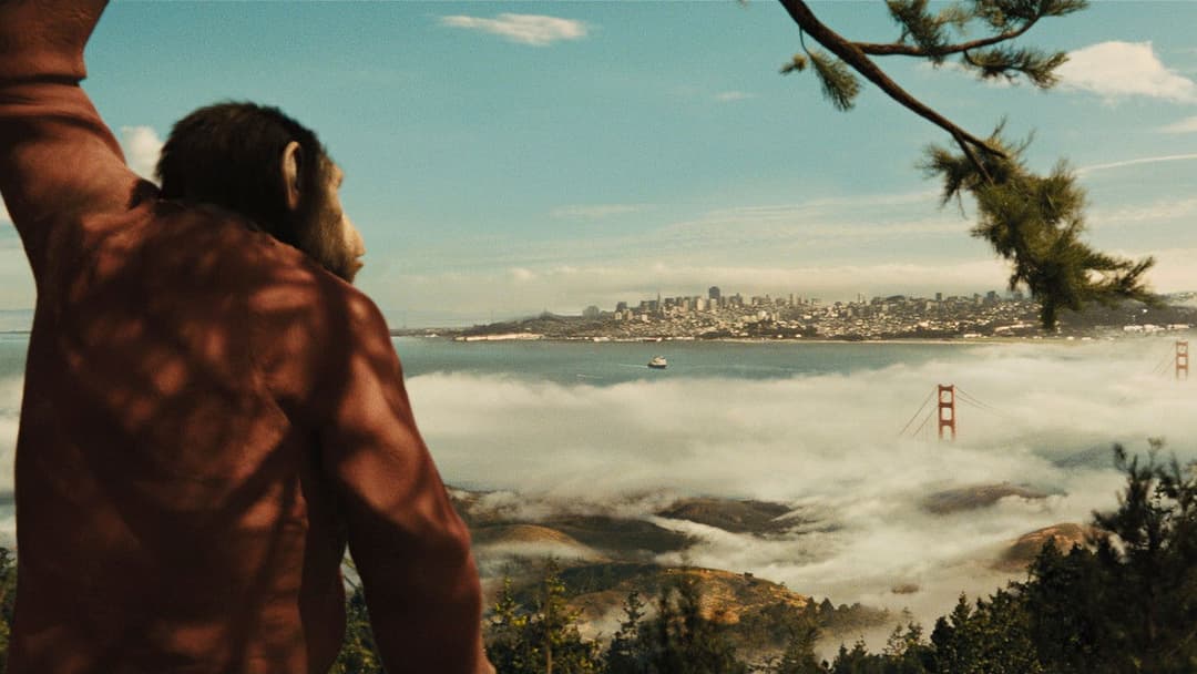 Rise of the Planet of the Apes backdrop 7