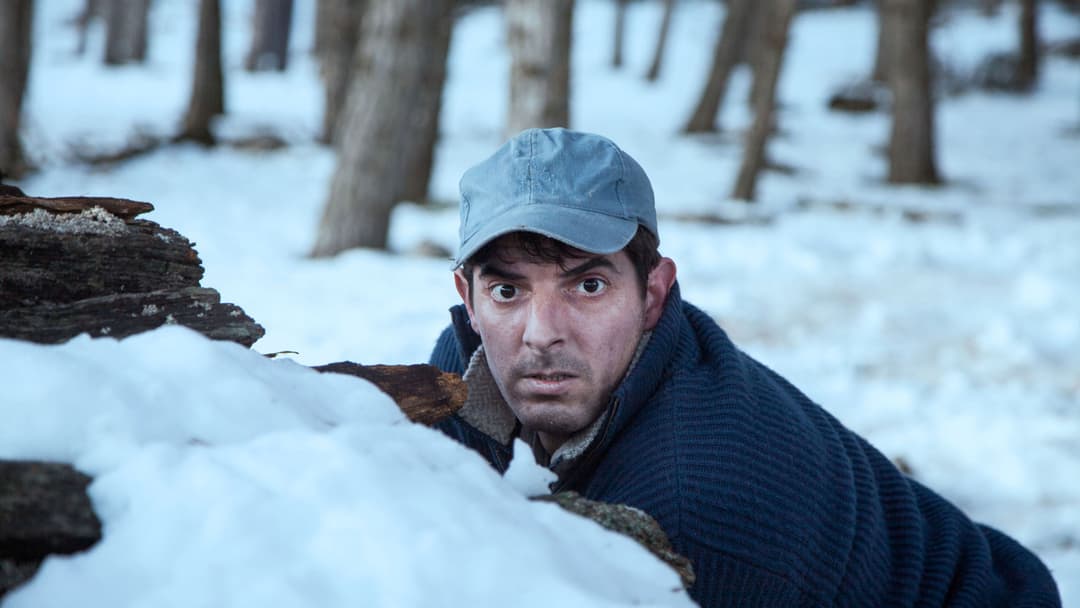 Only the Animals backdrop 9