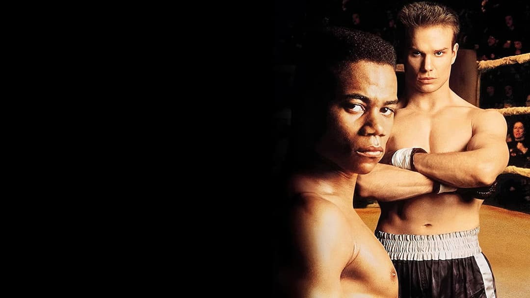 Gladiator backdrop 11