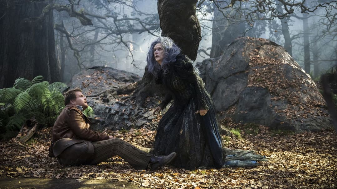 Into the Woods backdrop 15