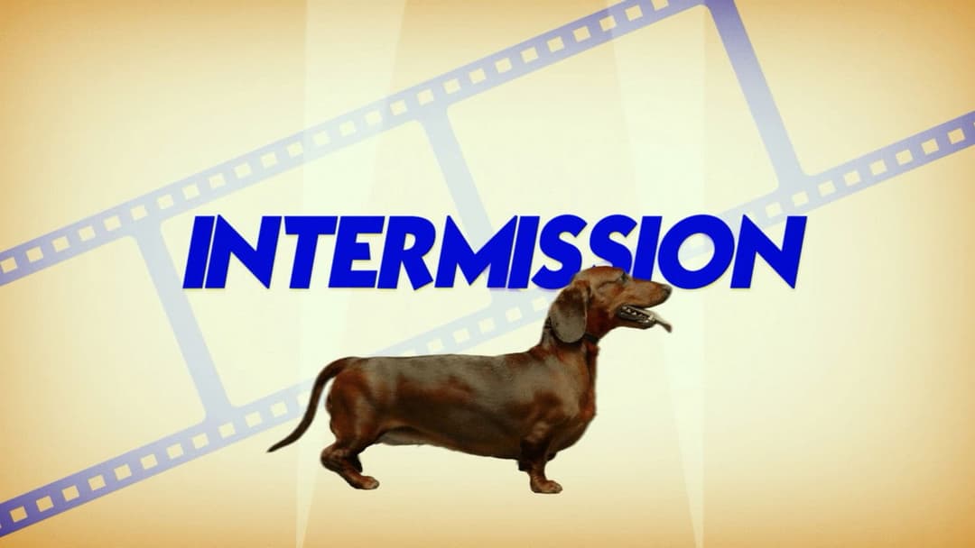 Wiener Dog backdrop 13