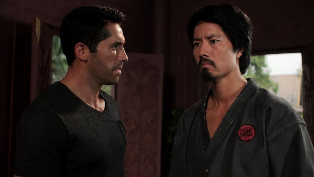 Ninja - Pfad der Rache backdrop 4