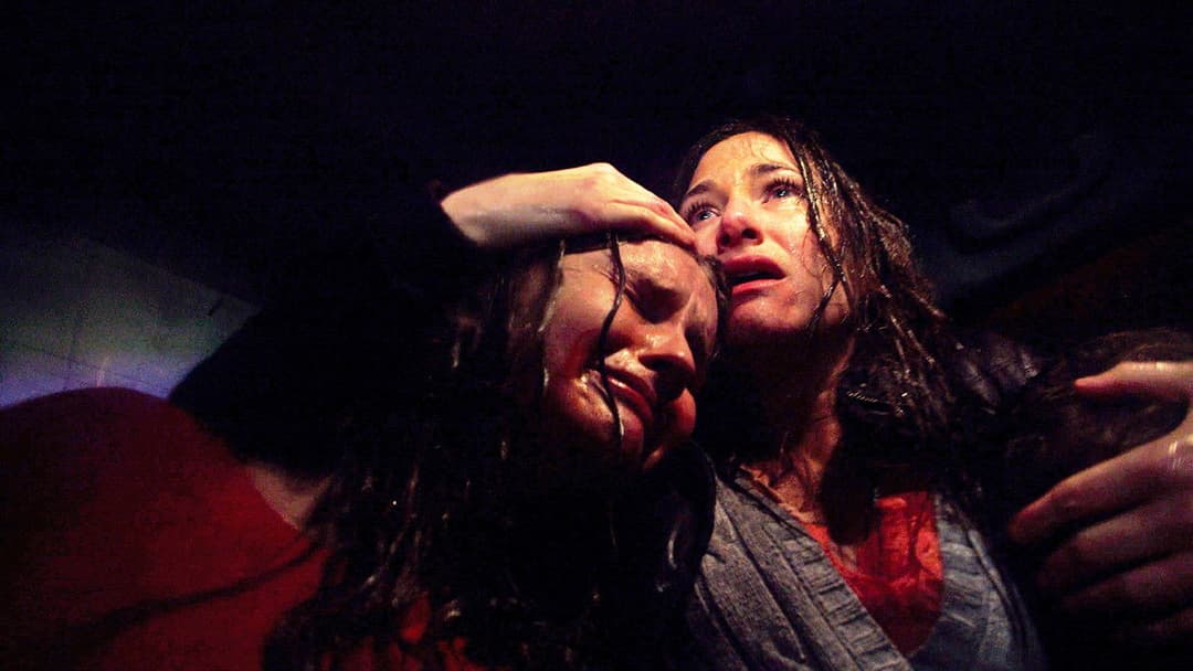 Візит backdrop 6