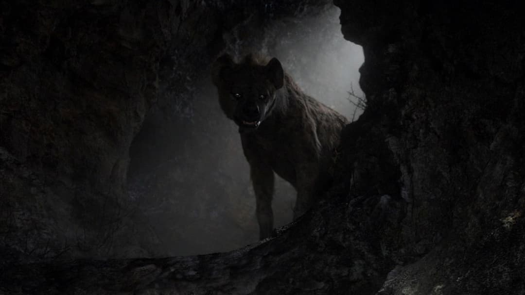 The Lion King backdrop 14