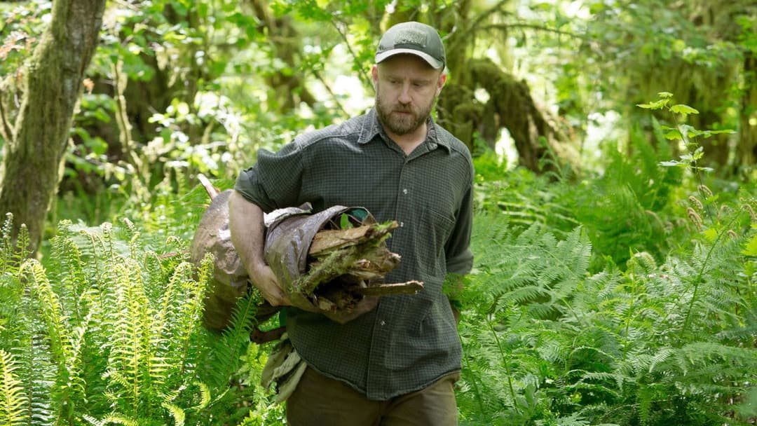 Leave No Trace backdrop 8
