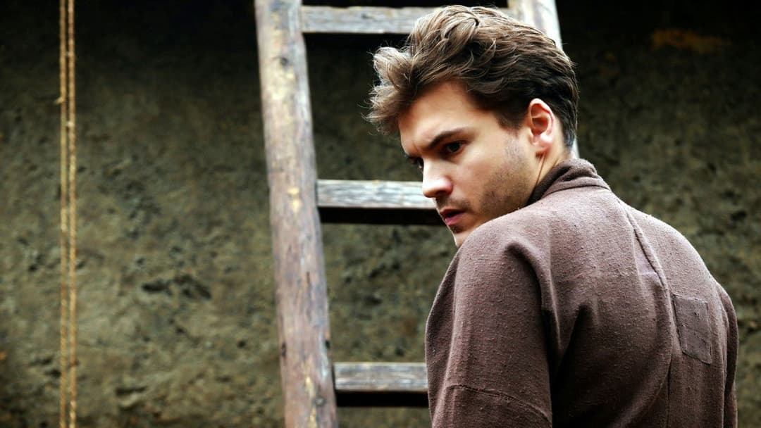 The Chinese Widow backdrop 9