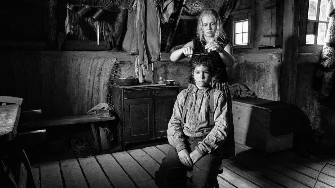 The Painted Bird backdrop 6