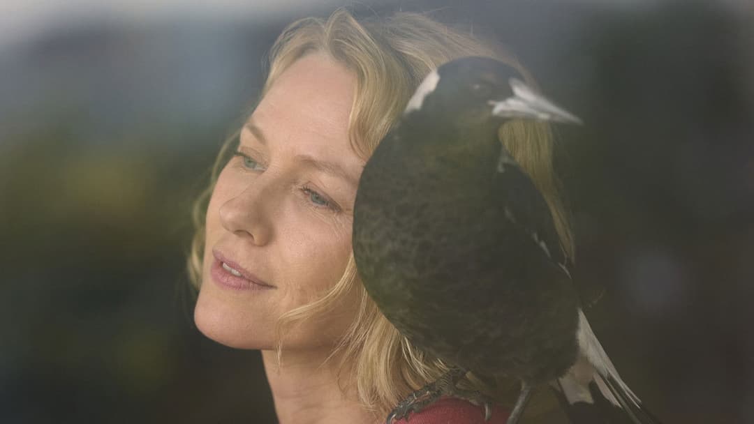 Пінгвін Блюм backdrop 12