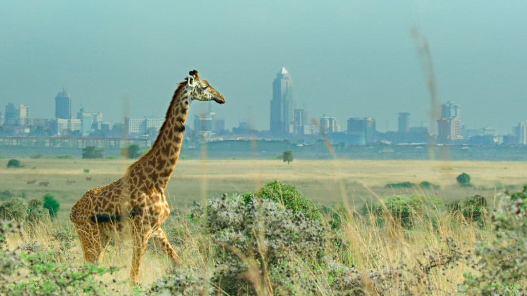 Breaking Boundaries: The Science of Our Planet backdrop 2