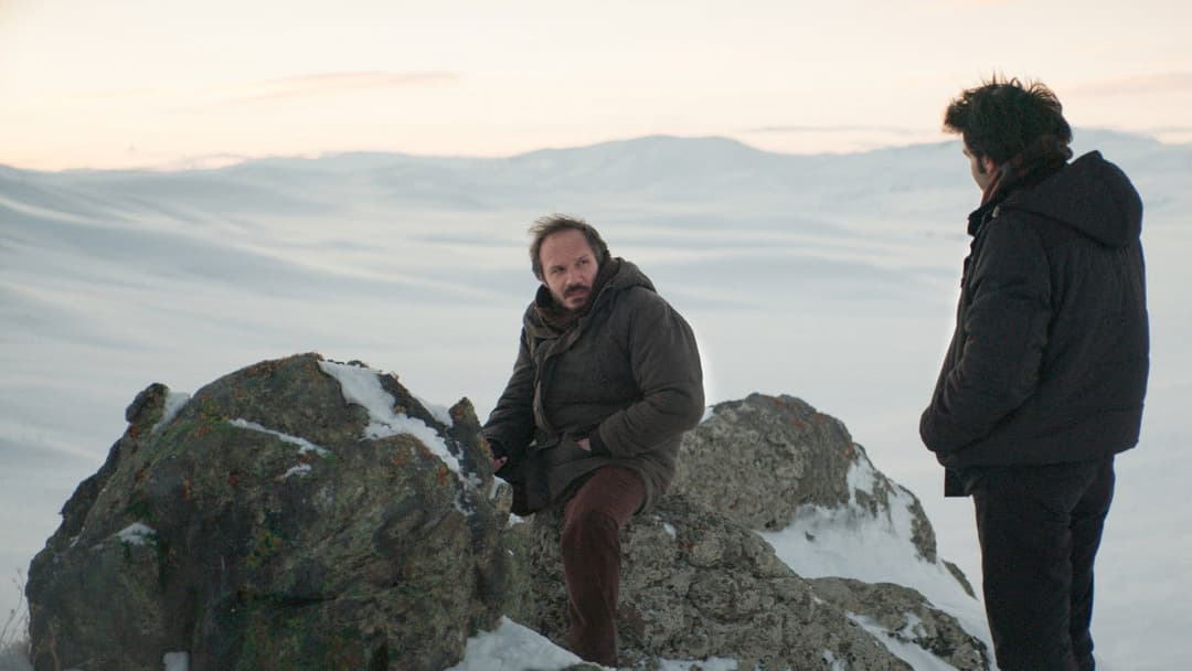 Auf trockenen Gräsern backdrop 14