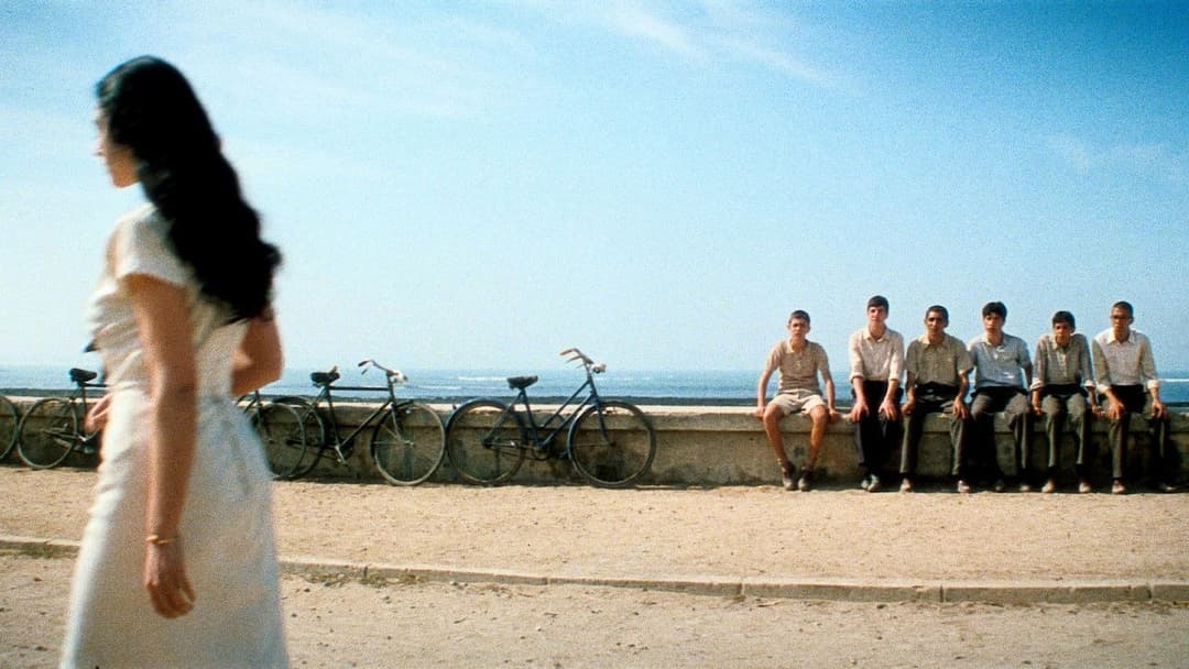 Малена backdrop 9