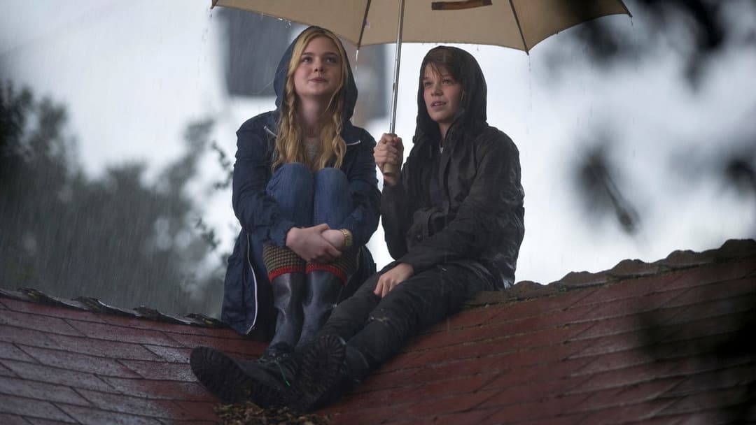 Wir kaufen einen Zoo backdrop 17