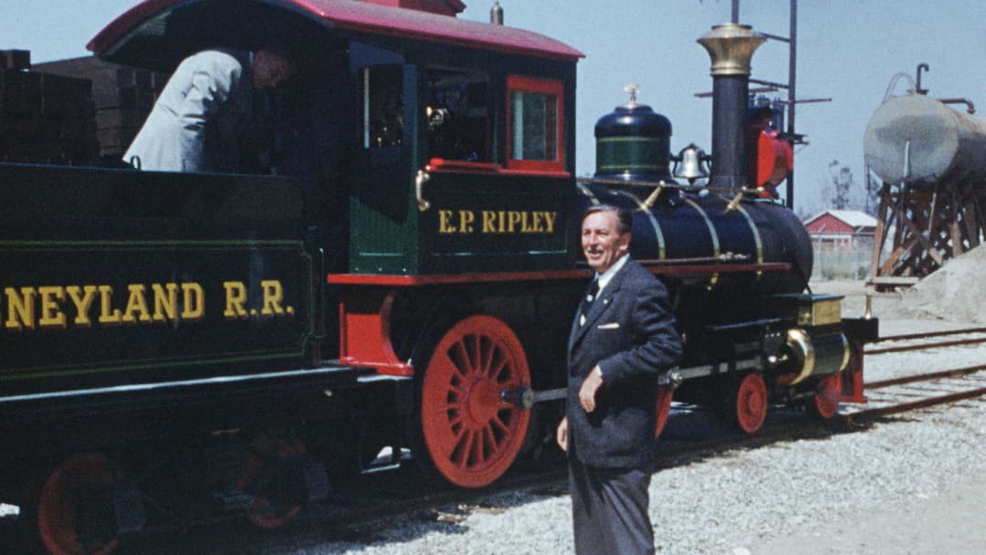 Disneyland Handcrafted backdrop 9