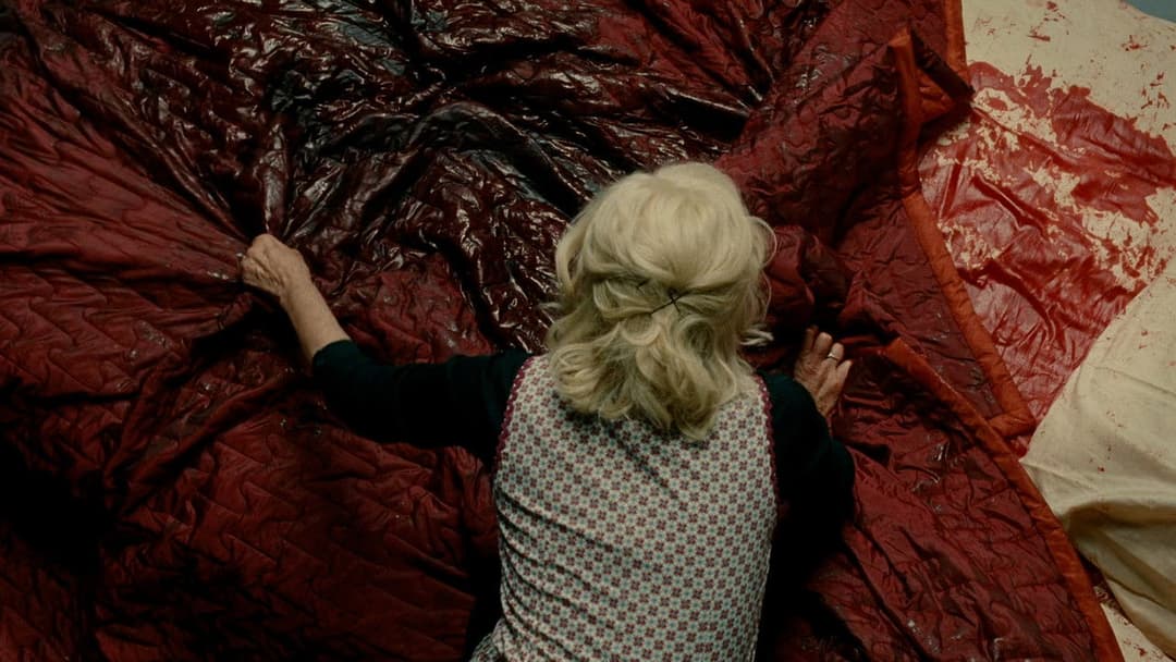 The Skin I Live In backdrop 11