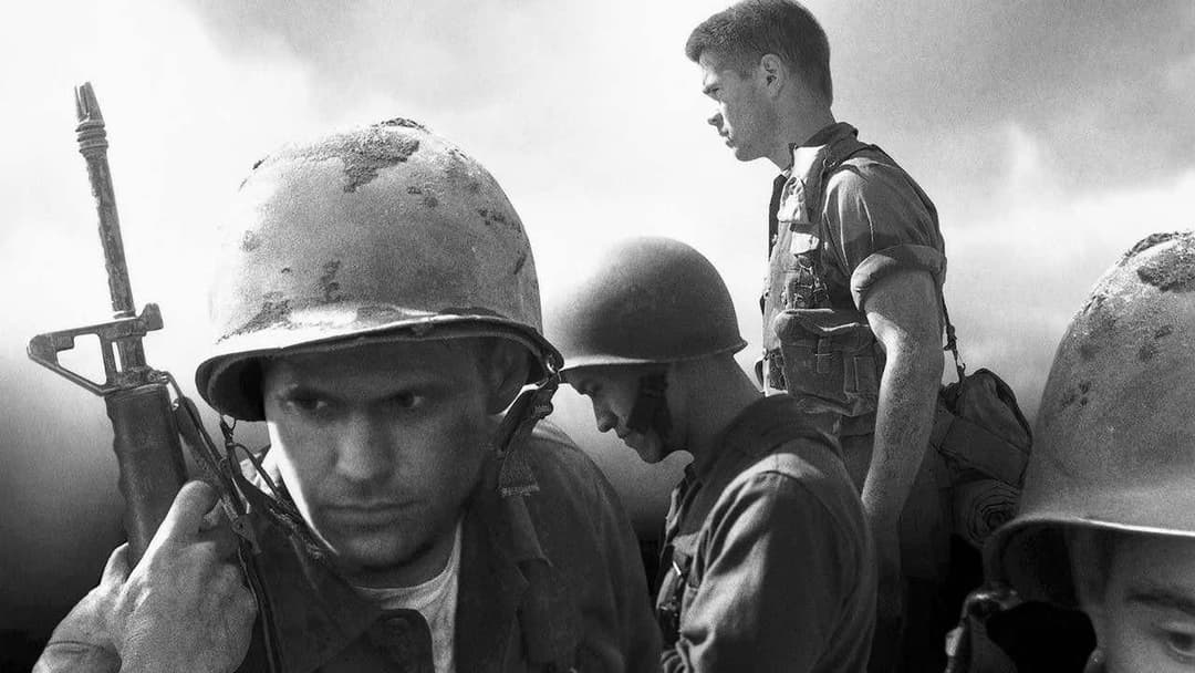 Tigerland backdrop 9