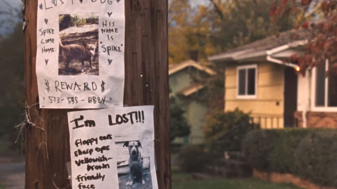 Wendy and Lucy backdrop 8