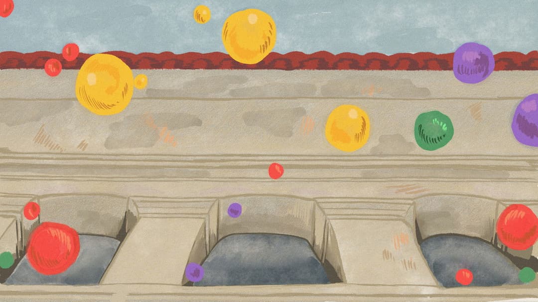 La Hermandad de los Dientes